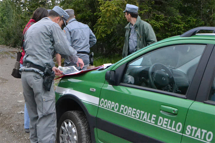 Traffico illecito e maltrattamenti animali, perquisizioni e sequestri a Reggio