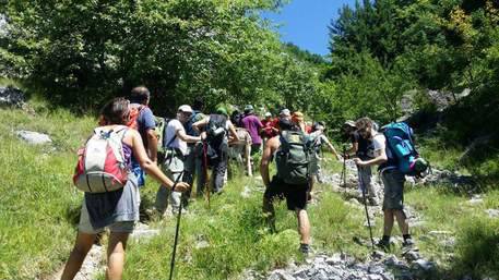 Trekking: pellegrinaggio green nel santuario della biodiversità