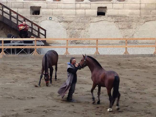 Saga, Ferretti: il barbaro che sussurra ai cavalli