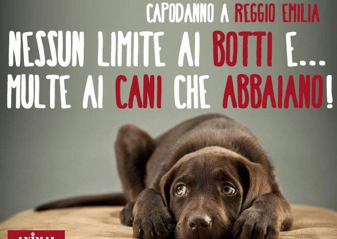 Gli animalisti: “Botti liberi e multe ai cani a Reggio”