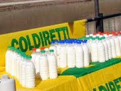 Coldiretti: “Continua la guerra del latte”