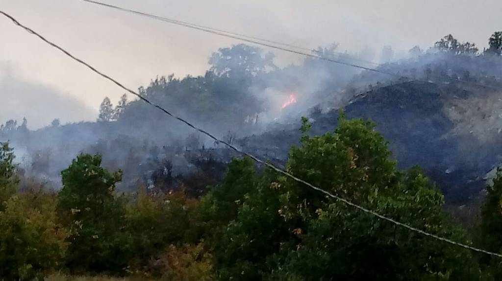 Paura a Roteglia, incendio minaccia le case