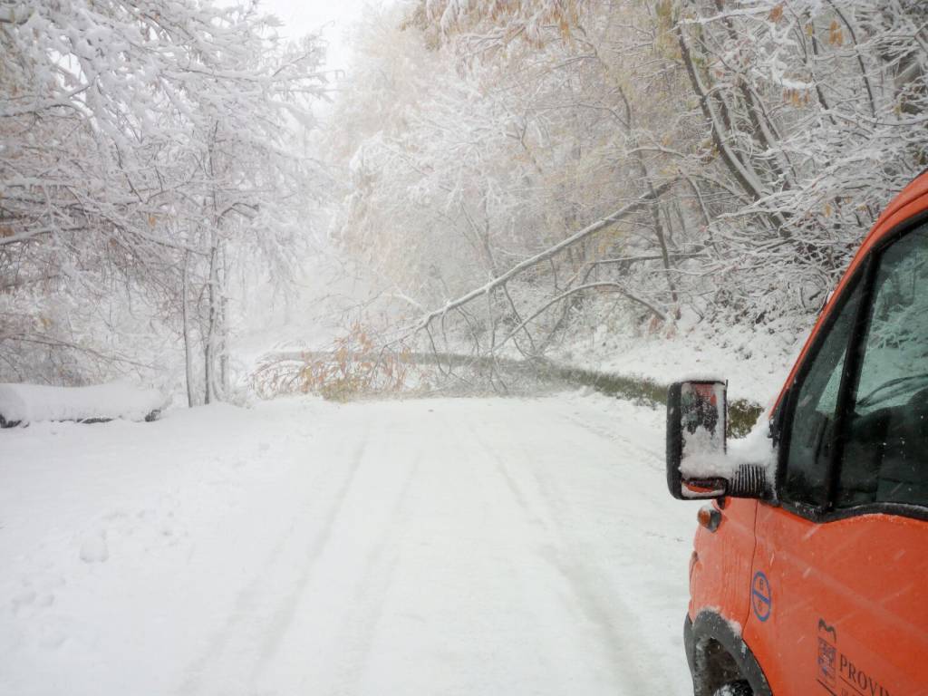 Neve pesante, alberi caduti: disagi in tutta la montagna