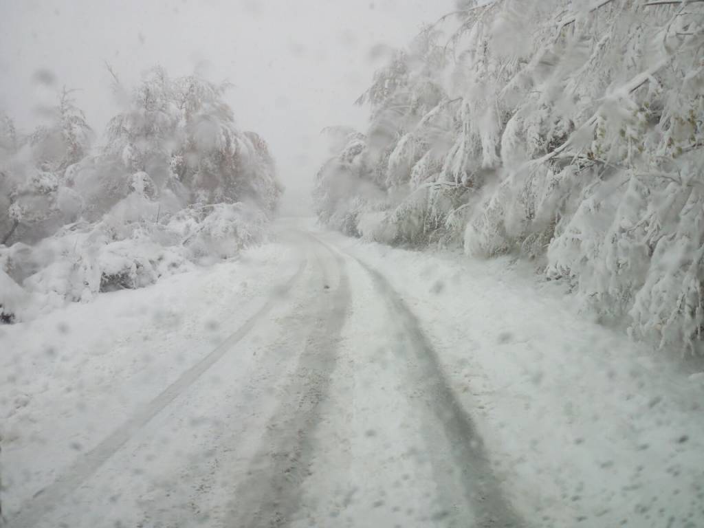Allerta neve in Emilia-Romagna: in arrivo anche 40 centimetri