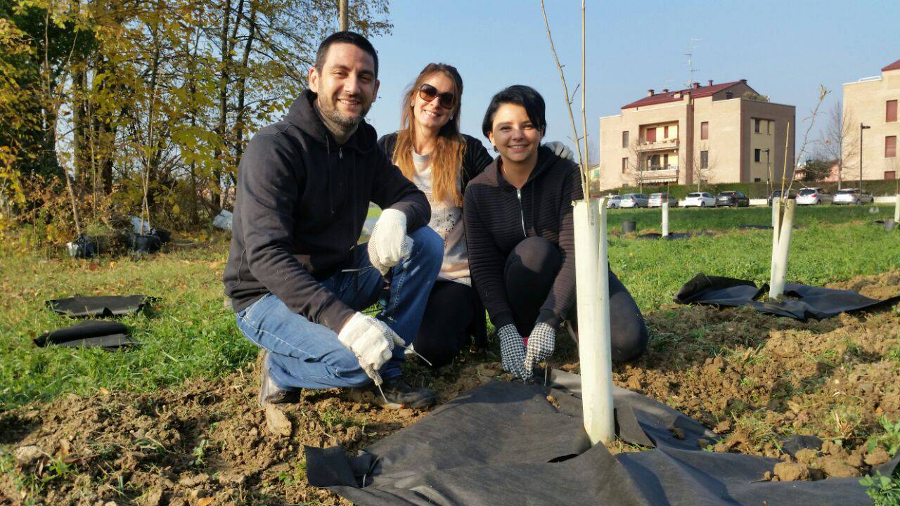 I volontari 5 Stelle piantano 1.100 alberi tra Reggio e Rubiera