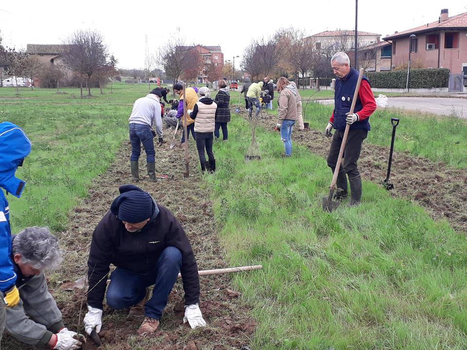 I volontari 5 Stelle hanno piantato 500 alberi fra Reggio e Rubiera