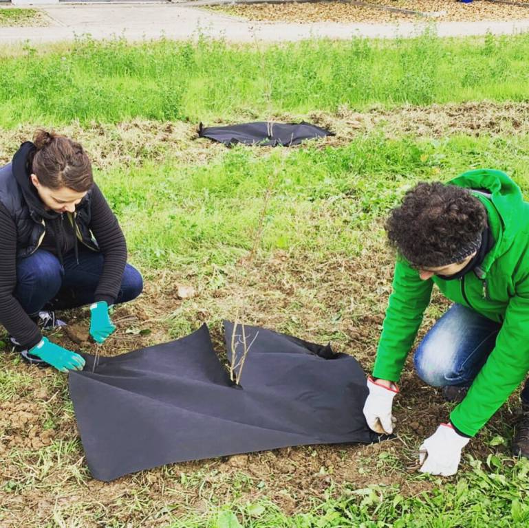 I volontari 5 Stelle hanno piantato 500 alberi fra Reggio e Rubiera