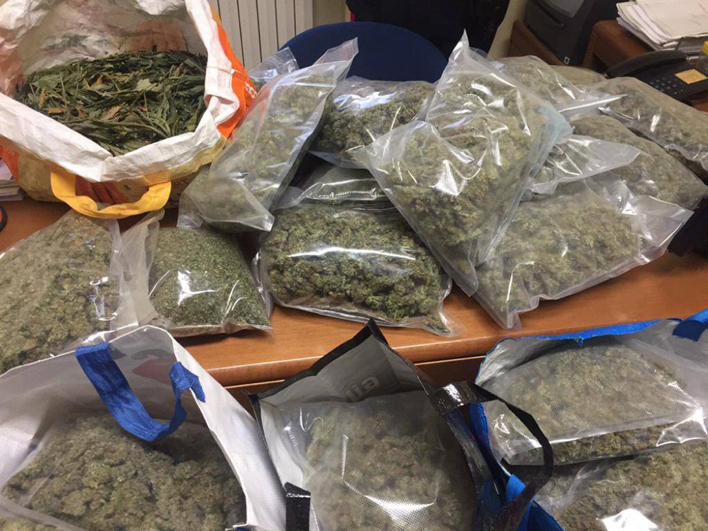Novellara, fabbrica di marijuana: sequestrati 20 chili di droga