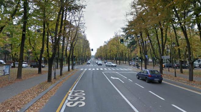 Taglio alberi in viale Umberto I, scontro fra Comune e M5S