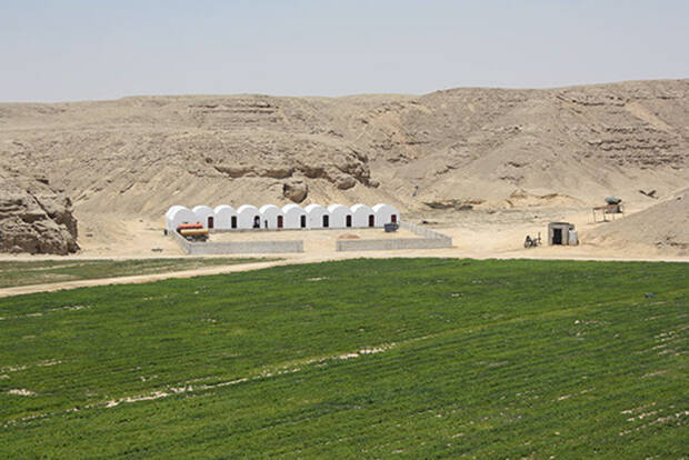 Sekem, agricoltura nel deserto: la coop egizia a La Collina