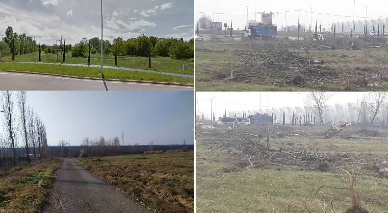 Area vicina a Mediopadana, il M5S: “Sono 56 gli alberi abbattuti”