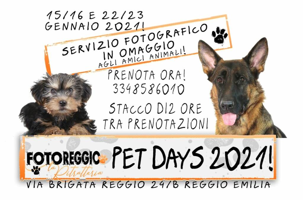 Servizio fotografico in omaggio per i vostri amici animali