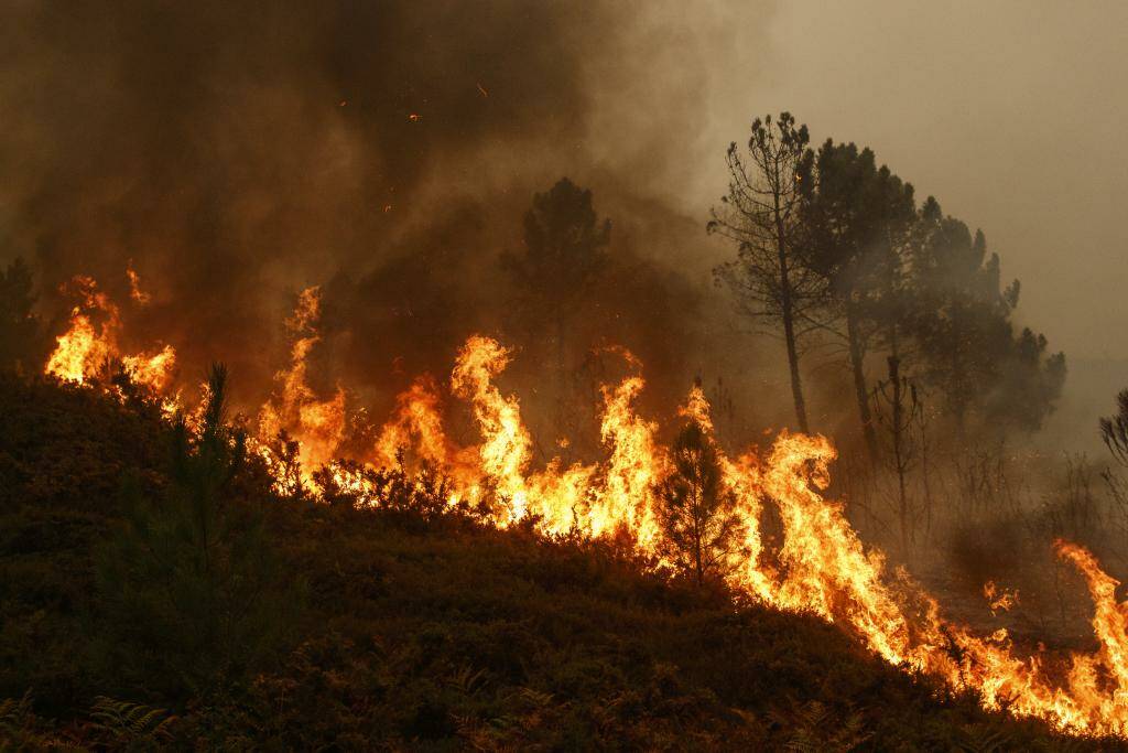 Incendi, parco nazionale Appennino tosco-emiliano a turisti: “Siate prudenti”