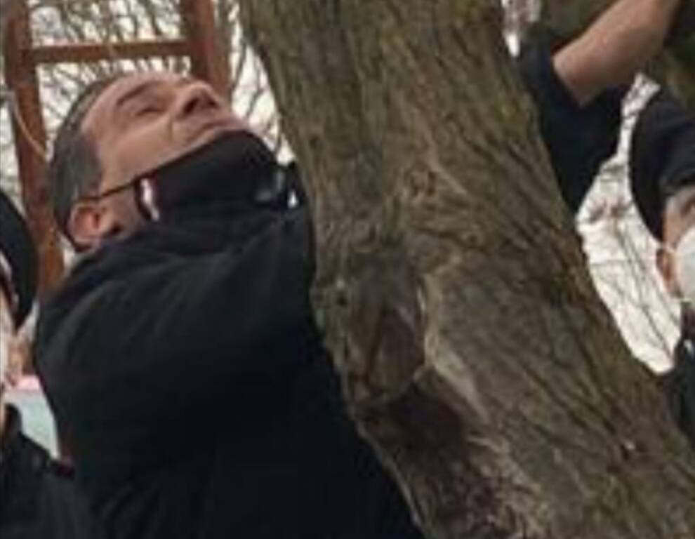 Sale su albero con corda al collo e minaccia suicidio