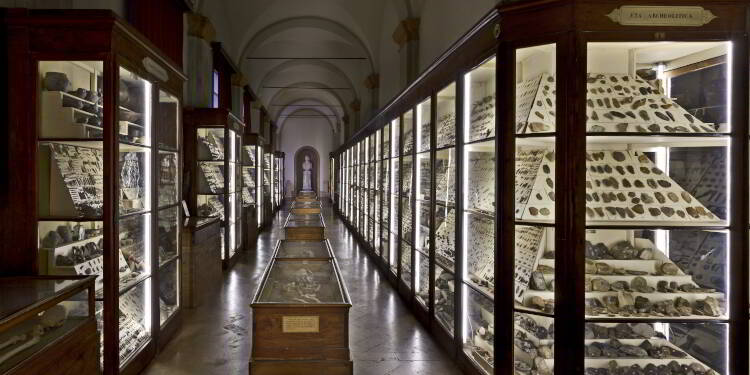 Palazzo dei musei, rubati 8 pezzi della Collezione Chierici
