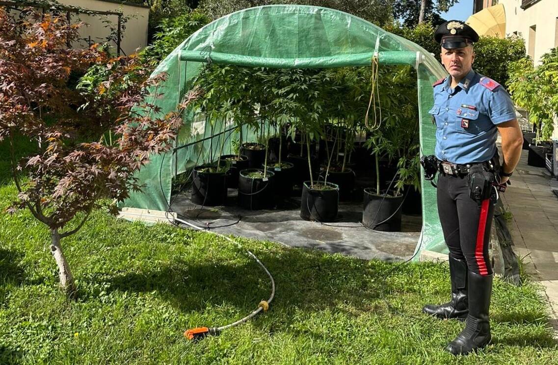 Quattro Castella, serra di marijuana in giardino: arrestato