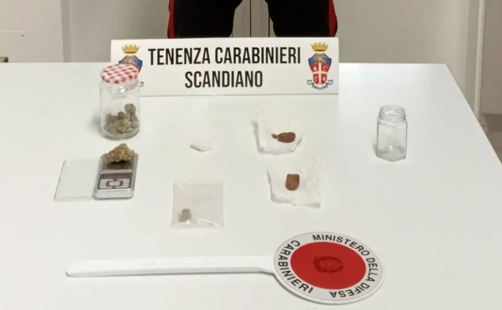 Scandiano, due giovani denunciati per spaccio