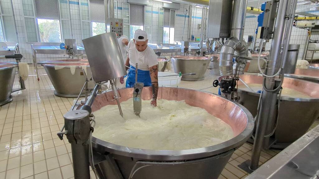 Fratelli Rossi, l&#8217;importanza della filiera per produrre il Parmgiano Reggiano