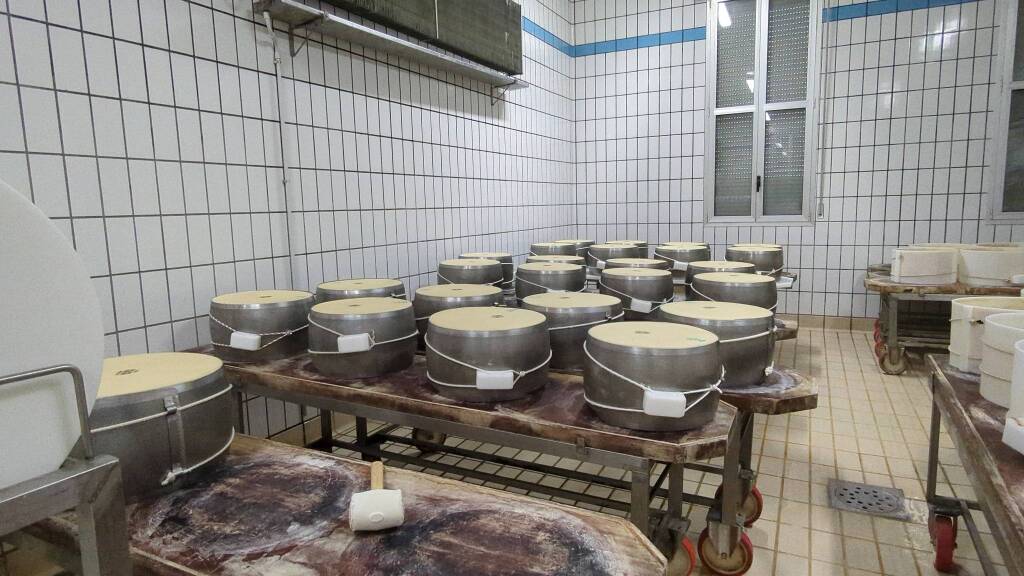 Fratelli Rossi, l&#8217;importanza della filiera per produrre il Parmgiano Reggiano