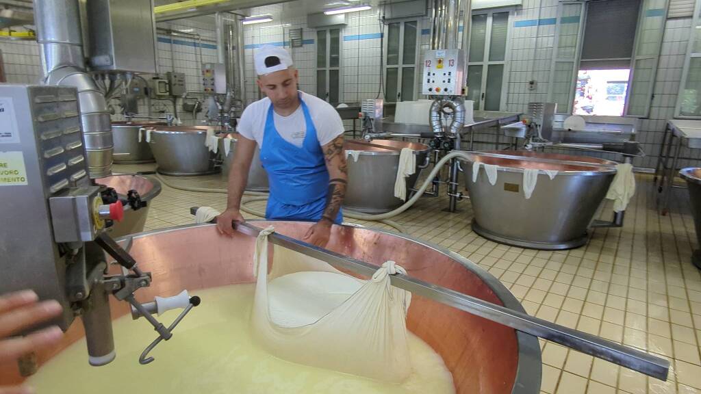 Fratelli Rossi, l&#8217;importanza della filiera per produrre il Parmgiano Reggiano