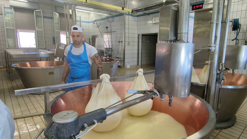 Fratelli Rossi, l&#8217;importanza della filiera per produrre il Parmgiano Reggiano