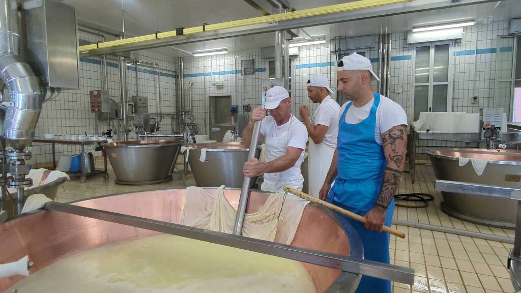 Fratelli Rossi, l&#8217;importanza della filiera per produrre il Parmgiano Reggiano