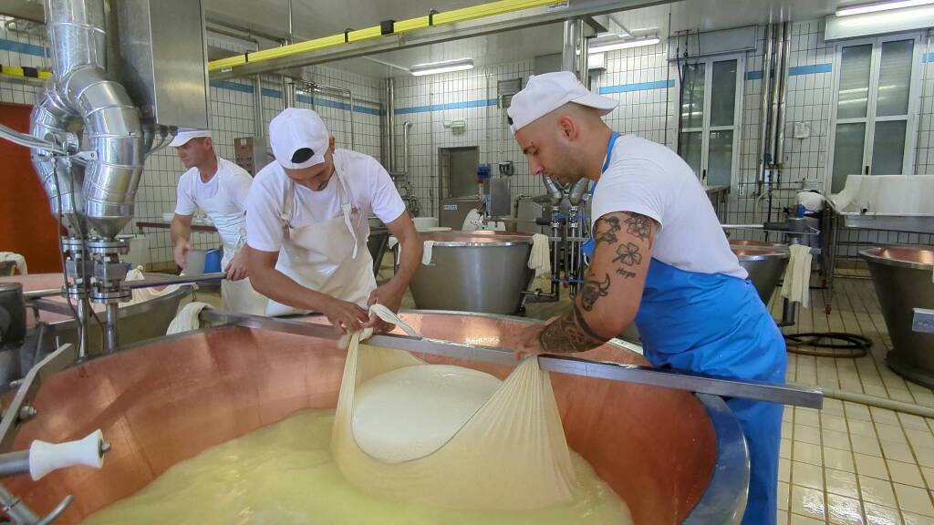 Fratelli Rossi, l&#8217;importanza della filiera per produrre il Parmgiano Reggiano