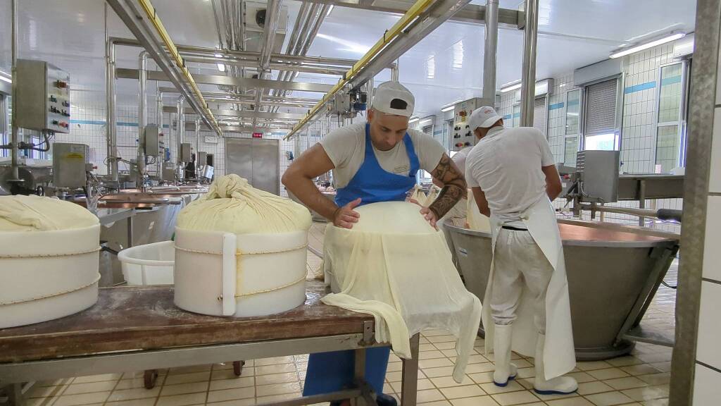 Fratelli Rossi, l&#8217;importanza della filiera per produrre il Parmgiano Reggiano