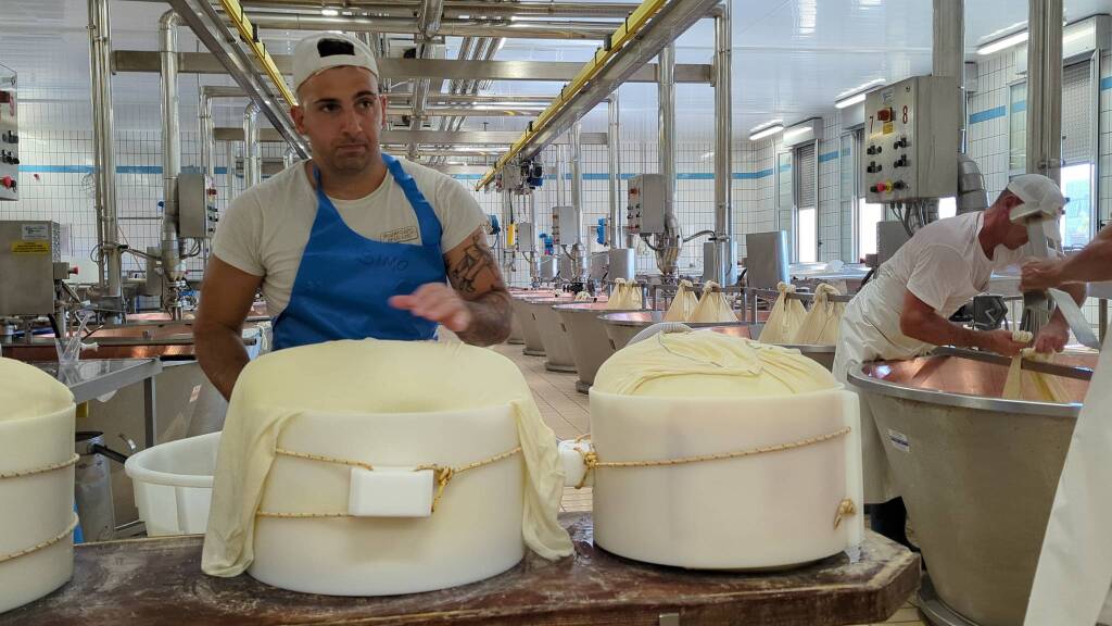 Fratelli Rossi, l&#8217;importanza della filiera per produrre il Parmgiano Reggiano