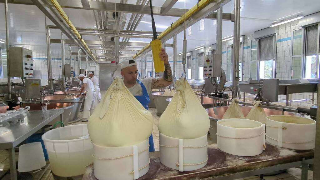 Fratelli Rossi, l&#8217;importanza della filiera per produrre il Parmgiano Reggiano