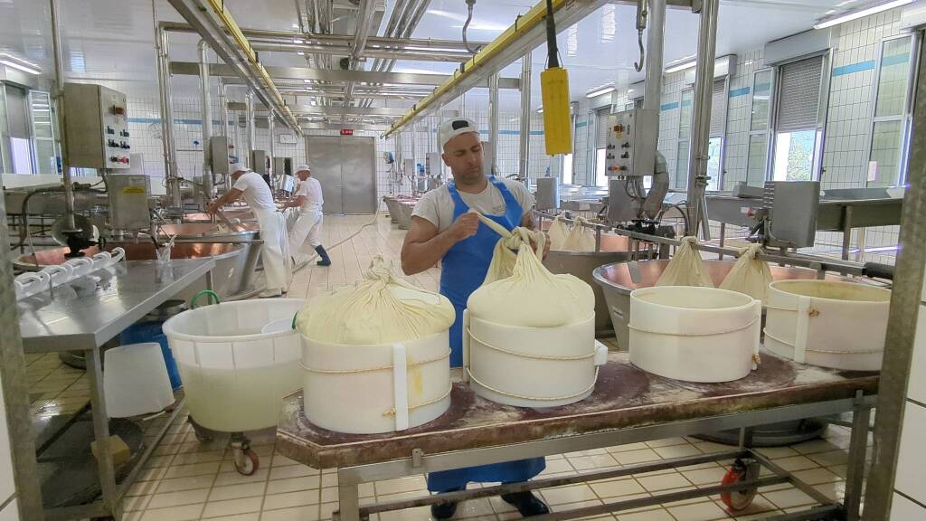 Fratelli Rossi, l&#8217;importanza della filiera per produrre il Parmgiano Reggiano