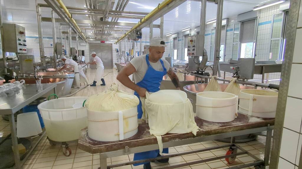 Fratelli Rossi, l&#8217;importanza della filiera per produrre il Parmgiano Reggiano