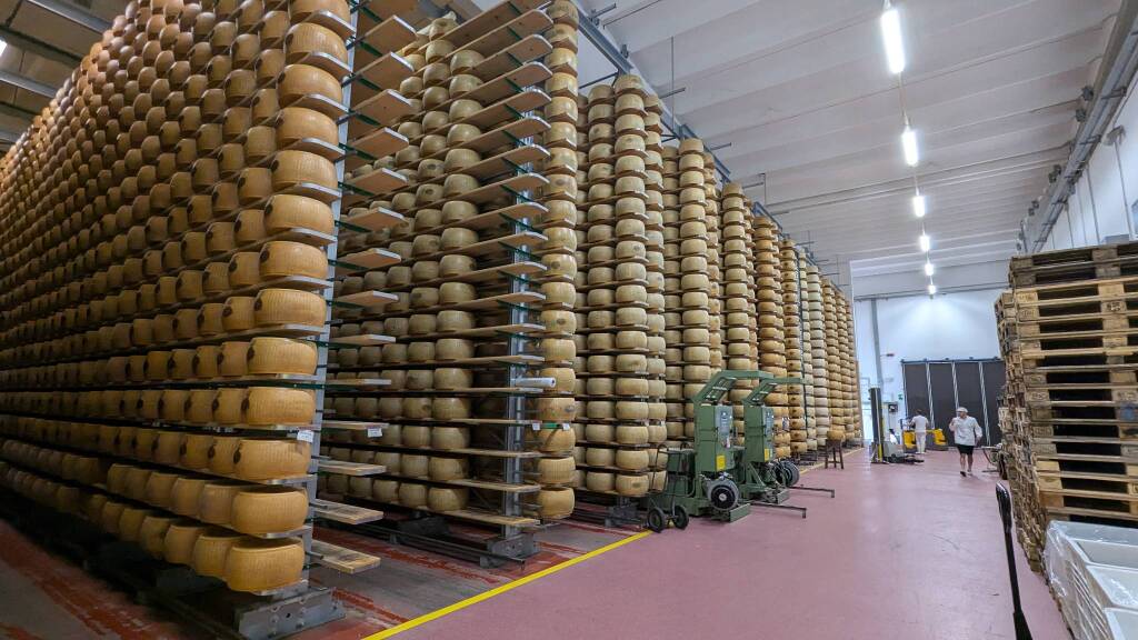 Fratelli Rossi, l&#8217;importanza della filiera per produrre il Parmgiano Reggiano