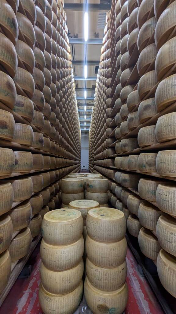 Fratelli Rossi, l&#8217;importanza della filiera per produrre il Parmgiano Reggiano