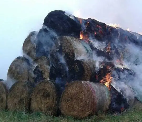 Canossa, a fuoco 15 rotoballe di fieno