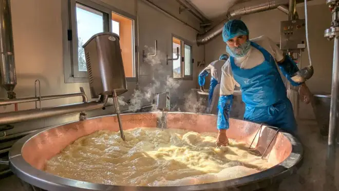 DalterFood Group, 230 forme di Parmigiano Reggiano al giorno